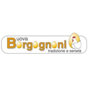 Realizzazione Logo Uova Borgognoni - Rimini