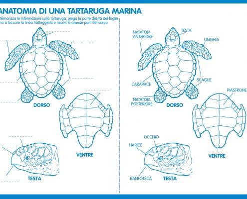 Interno Album Il Giocavacanze Progetto Sole 10