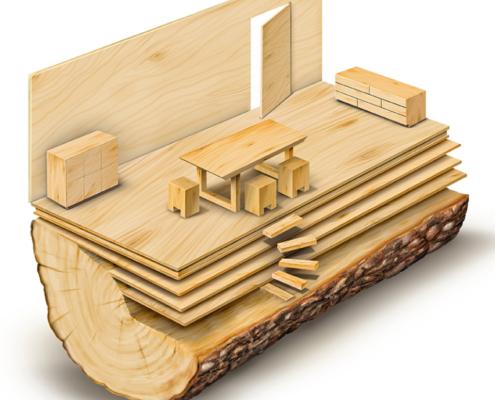 illustrazione banco legno